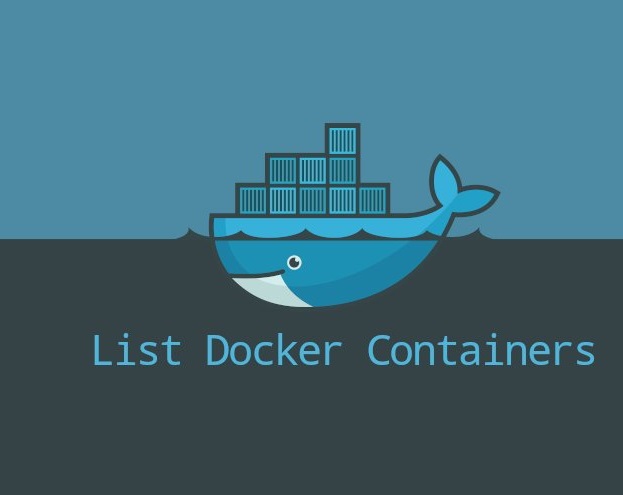 نحوه نمایش containerها درDocker 