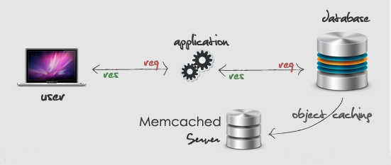 چگونگی نصب Memcached در سی پنل