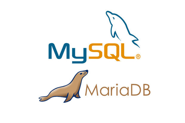 بررسی پایگاه داده MySQL و MariaDB و اندازه جدول در لینوکس