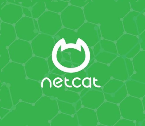 شرح دستور Netcat به همراه مثال