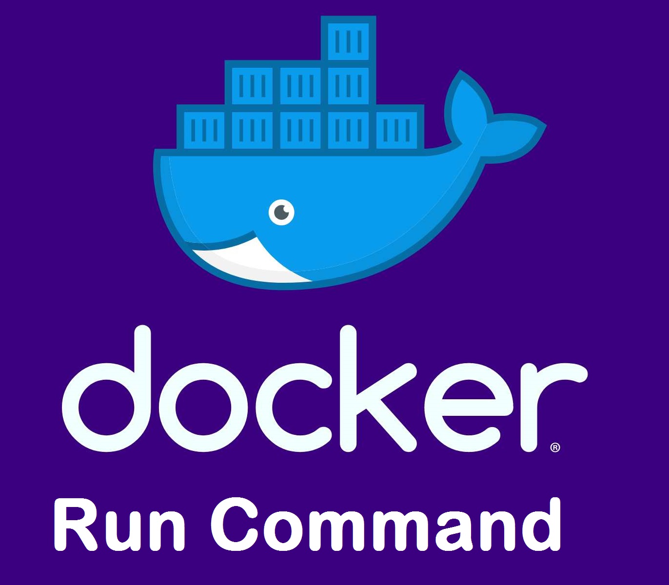 دستور Docker Run