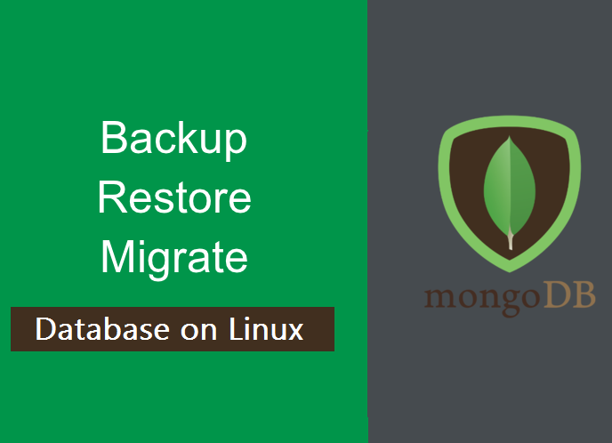 پشتیبان گیری، بازیابی و انتقال پایگاه داده MongoDB در اوبونتو 18.04