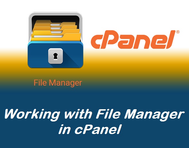 File Manager در cPanel