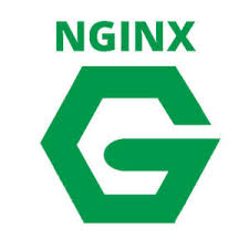 نصب وب سرور Nginx بر روی دایرکت ادمین