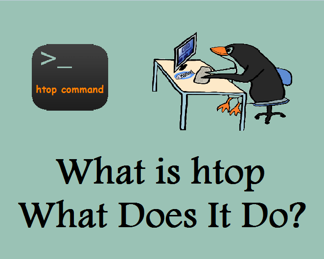 دستور htop چیست؟