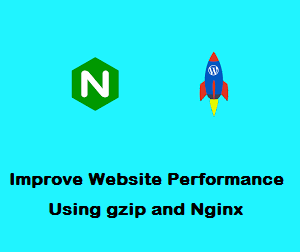 بهبود عملکرد وب سایت با استفاده از gzip و Nginx