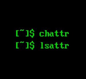 غیرقابل حذف/تغییر کردن فایل ها در لینوکس با دستور chattr